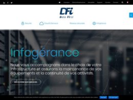 Printscreen du site web https://www.dfi.ch/