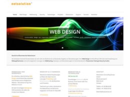 Printscreen du site web https://www.netsolution.ch/